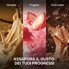 Basic Whey Protein
