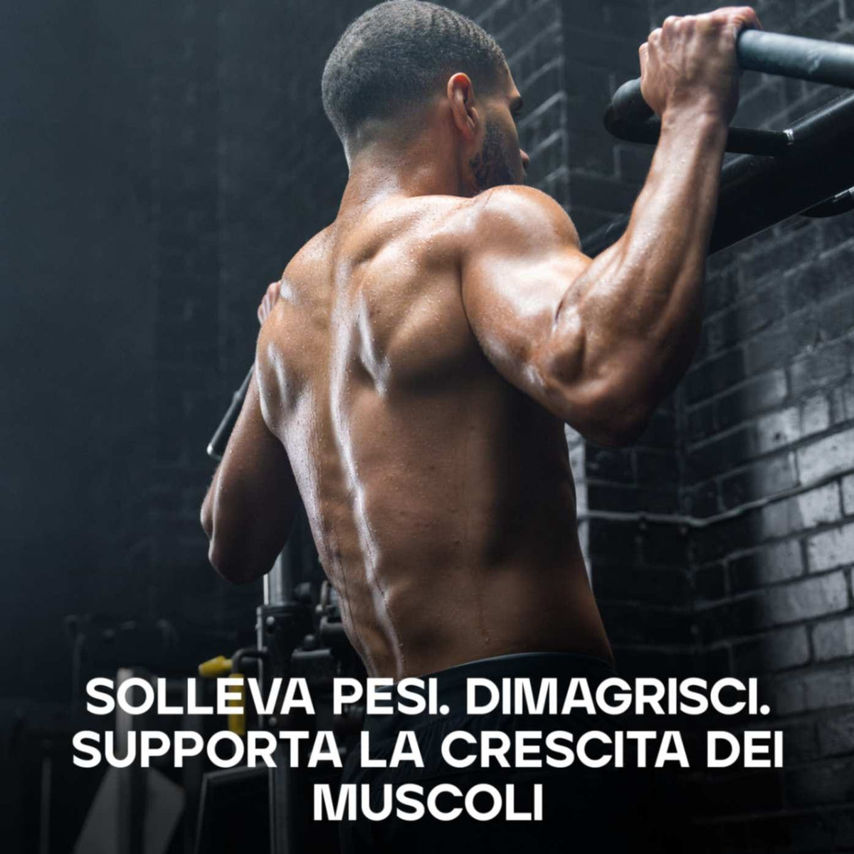 Whey Protein Isolate