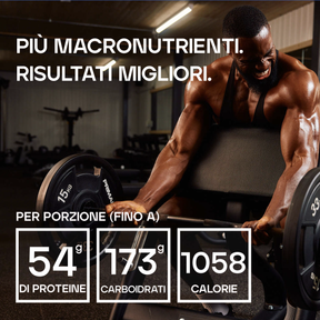Bulk 1000 Mass Gainer