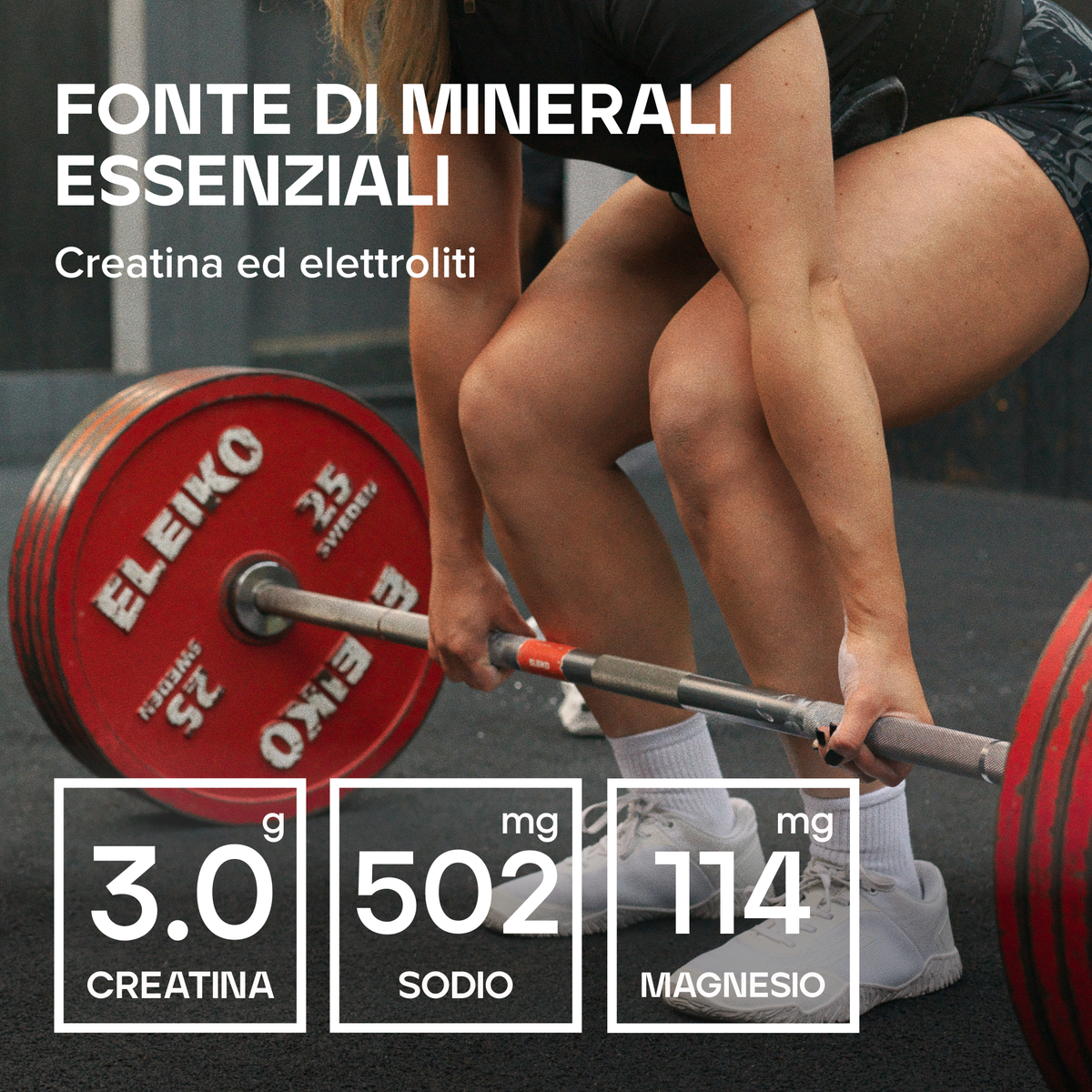 Creatina ed elettroliti
