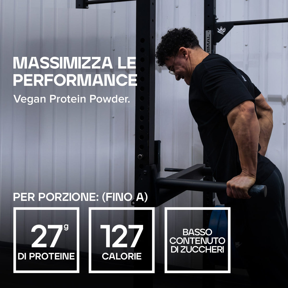 Polvere proteica vegana